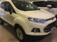 Ford EcoSport Titanium 2015 - Bán Ford EcoSport Titanium đời 2015, màu trắng