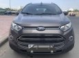 Ford EcoSport Titanium 2016 - Bán Ford EcoSport Titanium sản xuất năm 2016, màu xám (ghi), 535 triệu