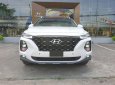 Hyundai Santa Fe 2.4  2018 - Giá xe Santafe 2019 máy xăng, phiên bản đặc biệt, giao ngay tại Hyundai Cần Thơ