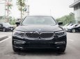 BMW 5 Series 530i 2019 - Bán xe BMW 5 Series 530i sản xuất 2019, màu đen, nhập khẩu Đức