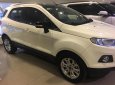 Ford EcoSport Titanium  2015 - Bán Ecosport Titanium cuối 2015, xe 1 đời chủ biển SG, odo 46.000km