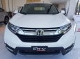 Honda CR V L 2019 - Bán xe Honda CR V năm sản xuất 2019, màu trắng, xe nhập