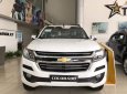 Chevrolet Colorado 2018 - Bán Chevrolet Colorado năm sản xuất 2018, màu trắng, nhập khẩu nguyên chiếc, 651tr