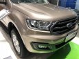 Ford Everest  Titanium 4x2   2018 - Bán Ford Everest Titanium 4x2 năm sản xuất 2018, màu vàng, nhập khẩu