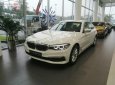 BMW 5 Series 520i 2018 - Bán BMW 520i All New G30, nhập khẩu, màu trắng, nội thất beige, xe có thể giao ngay với đầy đủ hồ sơ