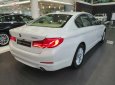 BMW 5 Series 520i 2018 - Bán BMW 520i All New G30, nhập khẩu, màu trắng, nội thất beige, xe có thể giao ngay với đầy đủ hồ sơ