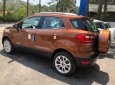 Ford EcoSport   Ambient 1.5 MT 2018 - Cần bán Ford EcoSport đời 2018, màu nâu