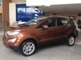 Ford EcoSport   Ambient 1.5 MT 2018 - Cần bán Ford EcoSport đời 2018, màu nâu