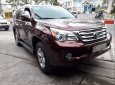 Lexus GX   460   2009 - Bán Lexus GX 460 năm sản xuất 2009, màu đỏ, xe nhập