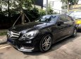 Mercedes-Benz E class E250 AMG 2015 - Bán xe Mercedes E250 SX 2015, đi 55000km. Xe chính chủ