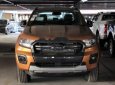 Ford Ranger   Wildtrak  2019 - Bán Ford Ranger Wildtrak năm 2019, xe nhập giá cạnh tranh