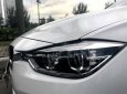 BMW 3 Series 320i 2015 - Bán xe BMW 320i SX 2015, đi 35000km. Xe chính chủ