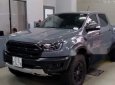 Ford Ranger   Raptor 2019 - Cần bán Ford Ranger Raptor đời 2019, màu đen, nhập khẩu nguyên chiếc