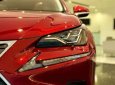 Lexus NX 300 2019 - Bán Lexus NX 300 sản xuất năm 2019, màu đỏ, nhập khẩu