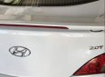 Hyundai Genesis 2010 - Cần bán lại xe Hyundai Genesis đời 2010, màu trắng, nhập khẩu