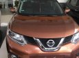 Nissan X trail   SV 2.5  2017 - Cần bán xe Nissan X trail SV 2.5 năm sản xuất 2017, nhập khẩu như mới