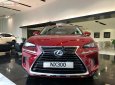 Lexus NX  300 2018 - Bán Lexus NX 300 sản xuất 2018, màu đỏ, nhập khẩu nguyên chiếc