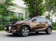 Lexus NX  300 2018 - Bán xe Lexus NX 300 đời 2018, màu nâu, nhập khẩu