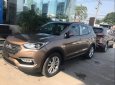 Hyundai Santa Fe 2016 - Bán ô tô Hyundai Santa Fe sản xuất 2016, màu nâu