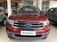 Ford Everest 2019 - Bán xe Ford Everest Ambiente, Trend và Titanium 2019, khuyến mãi: 65Tr, BHVC, phim, Camera, Ceramic, LH: 091.888.9278