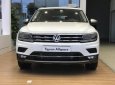 Volkswagen Tiguan 2018 - Xe Đức Tiguan 2.0 Turbo model 2019, trả trước 500 triệu, bao bank 85%, bao hồ sơ khó, xe bao ngon, tặng phụ kiện