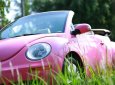 Volkswagen Beetle 2008 - Bán ô tô Volkswagen Beetle sản xuất 2008, 600tr