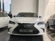 Lexus ES 250 2018 - Bán xe Lexus ES 250 đời 2018, nhập khẩu, mới 100%