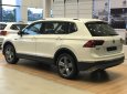 Volkswagen Tiguan 2018 - Xe Đức Tiguan 2.0 Turbo model 2019, trả trước 500 triệu, bao bank 85%, bao hồ sơ khó, xe bao ngon, tặng phụ kiện