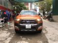 Ford Ranger Wildtrak 3.2L 4x4 AT 2016 - Bán xe Ford Ranger sản xuất 2016 chính chủ từ mới, xe chạy cực ít 3 vạn km