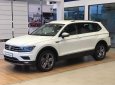 Volkswagen Tiguan 2018 - Xe Đức Tiguan 2.0 Turbo model 2019, trả trước 500 triệu, bao bank 85%, bao hồ sơ khó, xe bao ngon, tặng phụ kiện