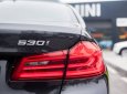 BMW 5 Series  530i  2019 - Bán ô tô BMW 5 Series G30 đời 2019, màu đen, nhập khẩu nguyên chiếc mới 100%