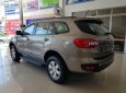 Ford Everest Ambiente 2.0 4x2 AT 2019 - Bán xe Ford Everest Ambiente 2.0 4x2 AT đời 2019, nhập khẩu Thái Lan