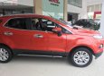 Ford EcoSport 2017 - Cần bán lại xe Ford EcoSport năm 2017, xe nhập chính chủ