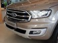 Ford Everest   Titanium Biturbo  2019 - Bán xe Ford Everest Titanium Biturbo năm 2019, màu nâu, nhập khẩu 
