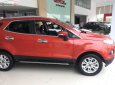 Ford EcoSport 2017 - Cần bán lại xe Ford EcoSport năm 2017, xe nhập chính chủ