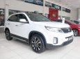 Kia Sorento  GATH 2019 - Cần bán Kia Sorento năm 2019, màu trắng, 919tr