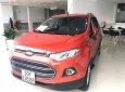 Ford EcoSport 2017 - Cần bán lại xe Ford EcoSport năm 2017, xe nhập chính chủ