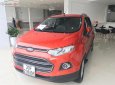 Ford EcoSport 2017 - Cần bán lại xe Ford EcoSport năm 2017, xe nhập chính chủ