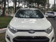 Ford EcoSport 2014 - Bán xe Ford EcoSport sản xuất năm 2014, màu trắng xe gia đình