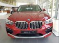 BMW X4 xDrive 20i   2019 - Bán BMW X4 xDrive 20i năm sản xuất 2019, màu đỏ, nhập khẩu 