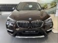 BMW X1   sDrive 1.8i 2019 - Cần bán BMW X1 sDrive 1.8i sản xuất 2019, màu đen, nhập khẩu