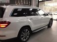 Mercedes-Benz GLS GLS400 2019 - Cần bán Mercedes GLS400 sản xuất 2019, màu trắng, nhập khẩu