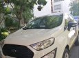 Ford EcoSport    2018 - Bán lại xe Ford EcoSport đời 2018, màu trắng còn mới giá cạnh tranh