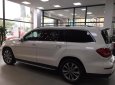 Mercedes-Benz GLS 400 4Matic 2019 - Bán Mercedes GLS 400 4Matic 2019 giá ưu đãi nhất miền bắc