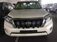 Toyota Land Cruiser Prado VX 2018 - Bán ô tô Toyota Land Cruiser Prado VX năm sản xuất 2018, nhập khẩu