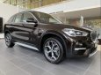 BMW X1   sDrive 1.8i 2019 - Cần bán BMW X1 sDrive 1.8i sản xuất 2019, màu đen, nhập khẩu