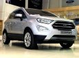 Ford EcoSport 1.0 Ecoboost AT 2018 - Bán xe Ford EcoSport năm 2018, màu bạc, giá tốt