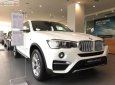 BMW X4 xDrive20i 2019 - Bán BMW X4 xDrive20i 2.0 Turbo, sản xuất 2019, màu trắng, xe nhập