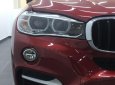 BMW X6 xDrive 35i 2019 - Bán xe BMW X6 xDrive 35i sản xuất 2019, màu đỏ, xe nhập