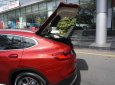 BMW X4 xDrive20i 2019 - Cần bán xe BMW X4 xDrive20i sản xuất 2019, màu đỏ, xe nhập